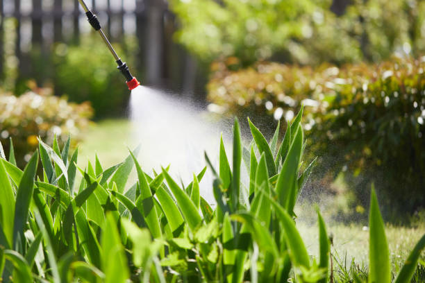24/7 Emergency Ant Control experts in Charleston, WV