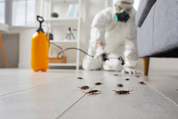 Trusted Termite Control service in Charleston, WV - Nex Pest Control